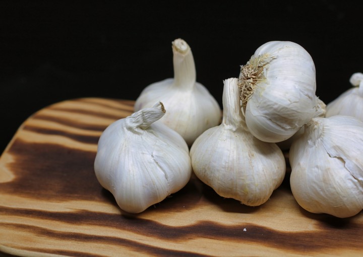 Garlic Festival 15th-16th of August