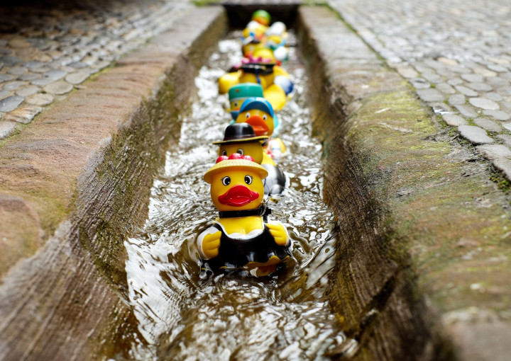 Easter Saturday Duck Race – 11th of April